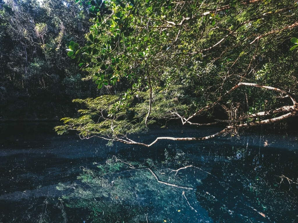 Cenote Angelita