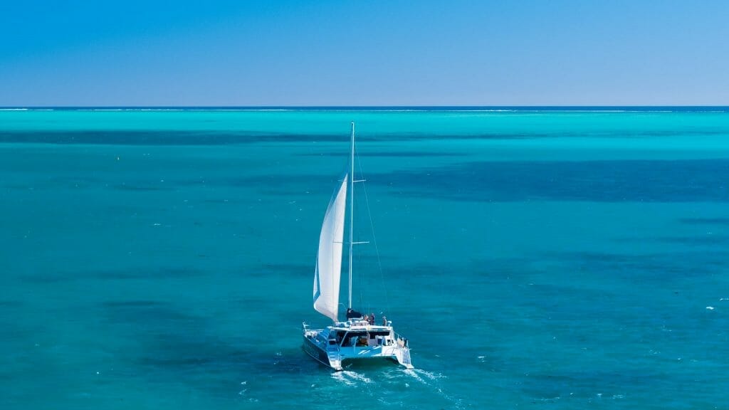 catamaran with white sail in blue water in ningaloo