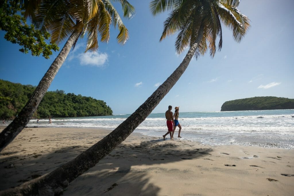 Couple on the beach under palmtree in Grenada