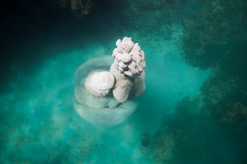 Nutmeg princess Sculpture during Grenada diving