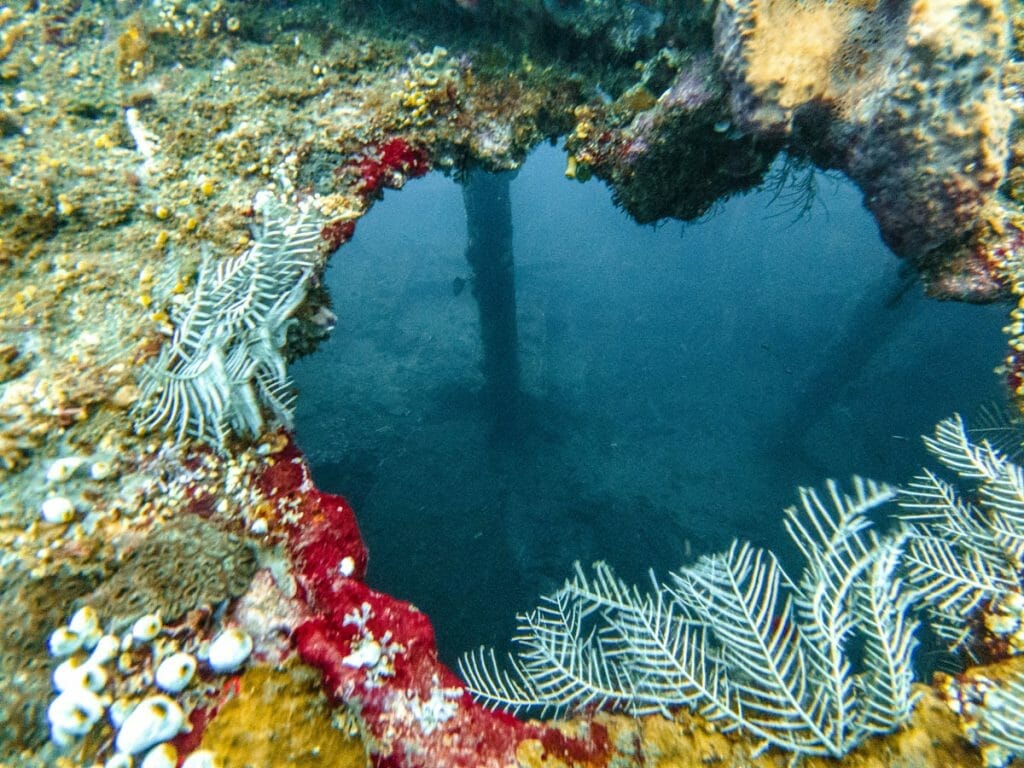Hole with corals at liberty wreck bali