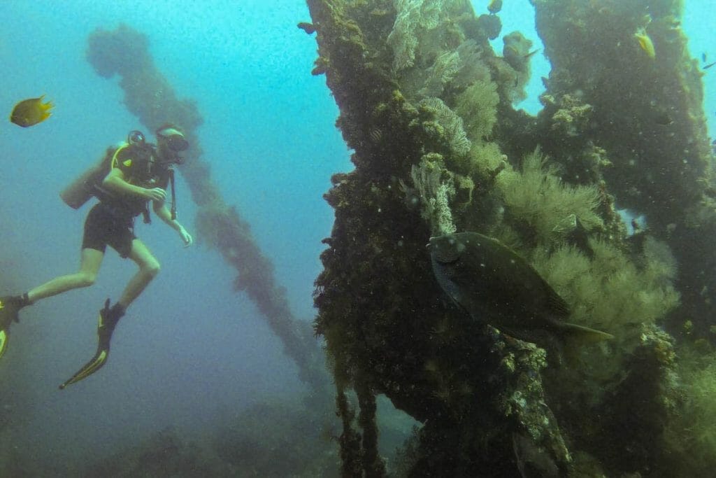 diver at the liberty wreck in bali