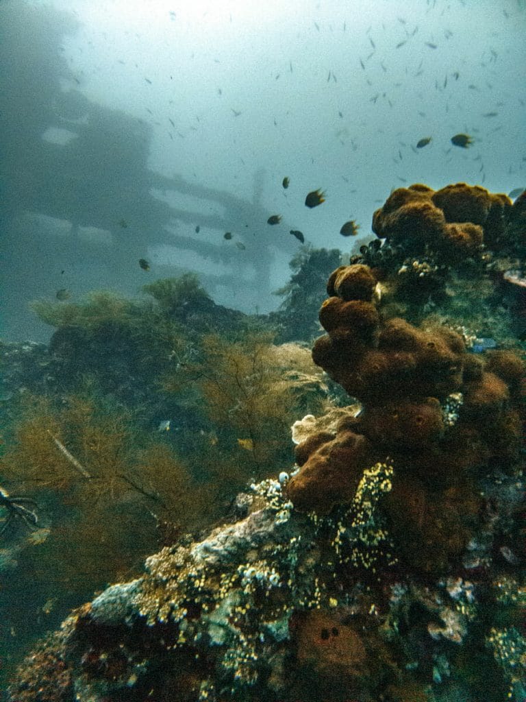 Corals and wreck pieces in Bali