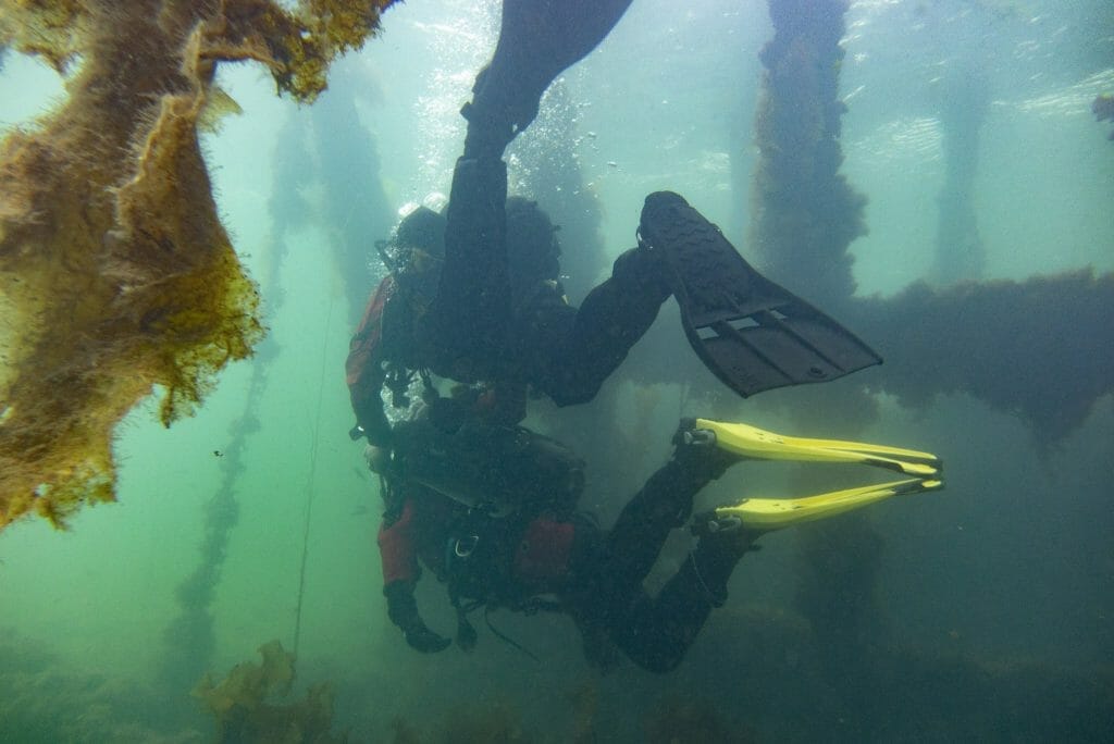 Discover Scuba Diving, Orkney - 2 divers underwater