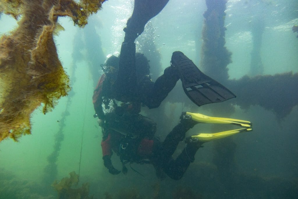 Discover Scuba Diving, Orkney - 2 divers underwater