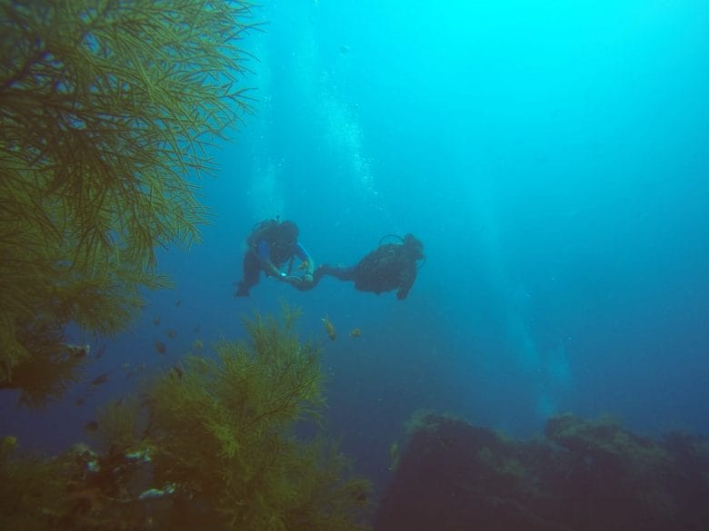 Scuba divers in Andaman