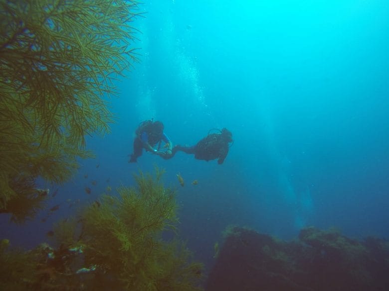 Scuba divers in Andaman