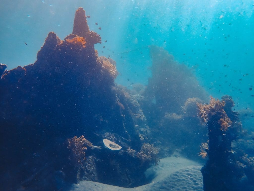 Ship wreck pieces overgrown with corals