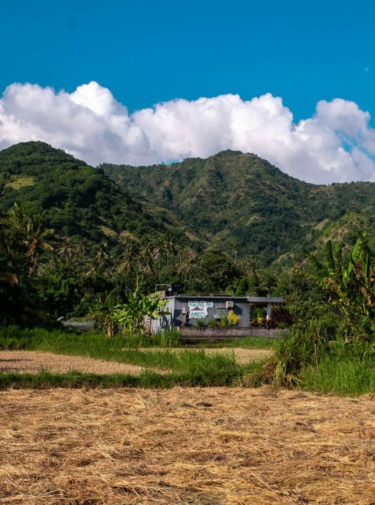 Agung Inn in Amed Rice fields