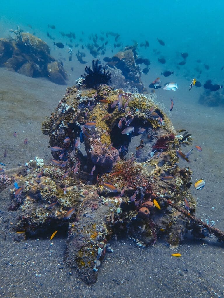 Concrete structure with corals on black sand