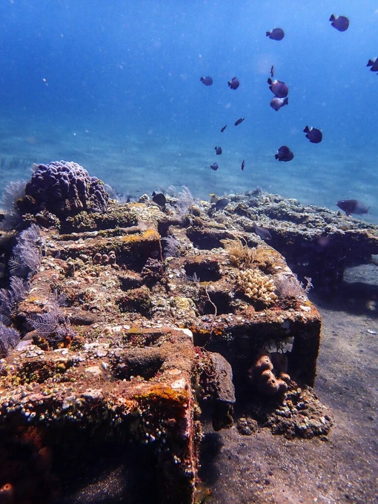 concrete scares in Ghost Bay Amed
