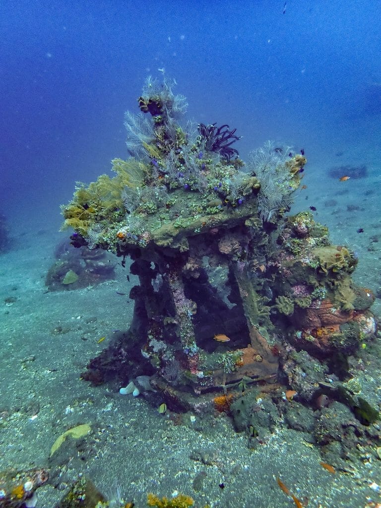 coral garden