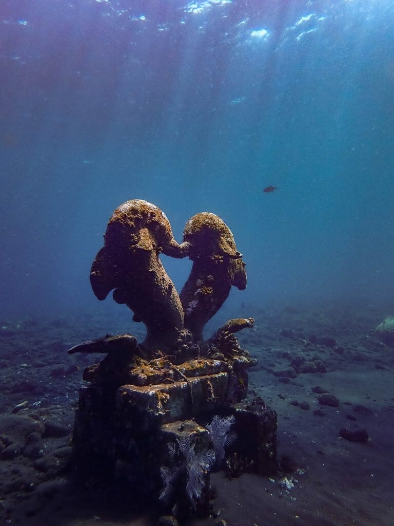 coral garden