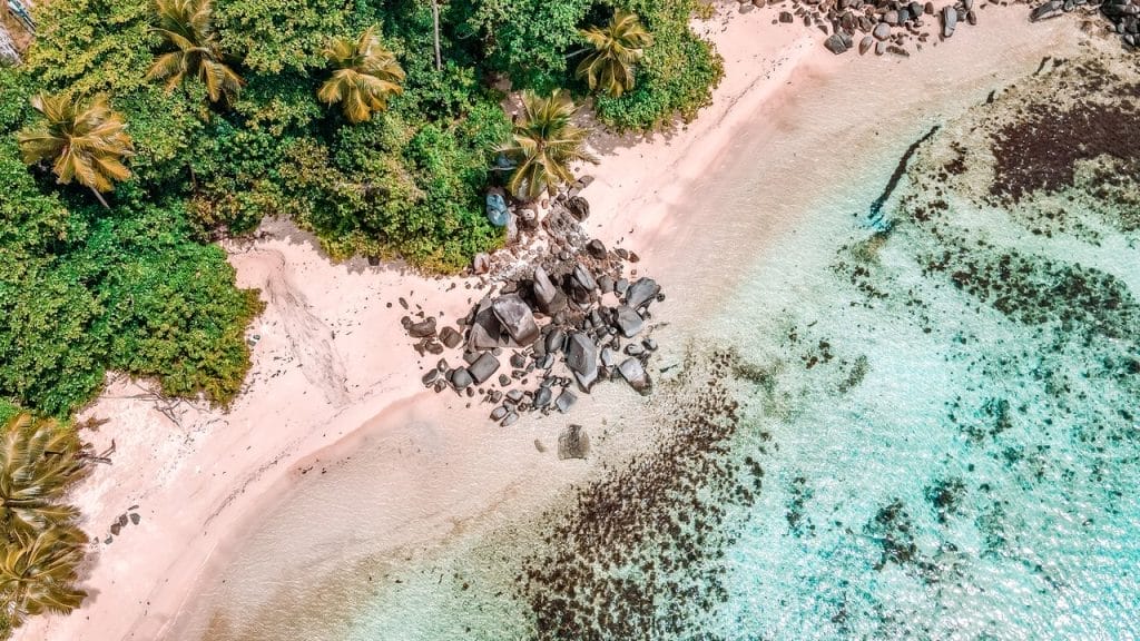 Aerial shot of a Seychelles beach